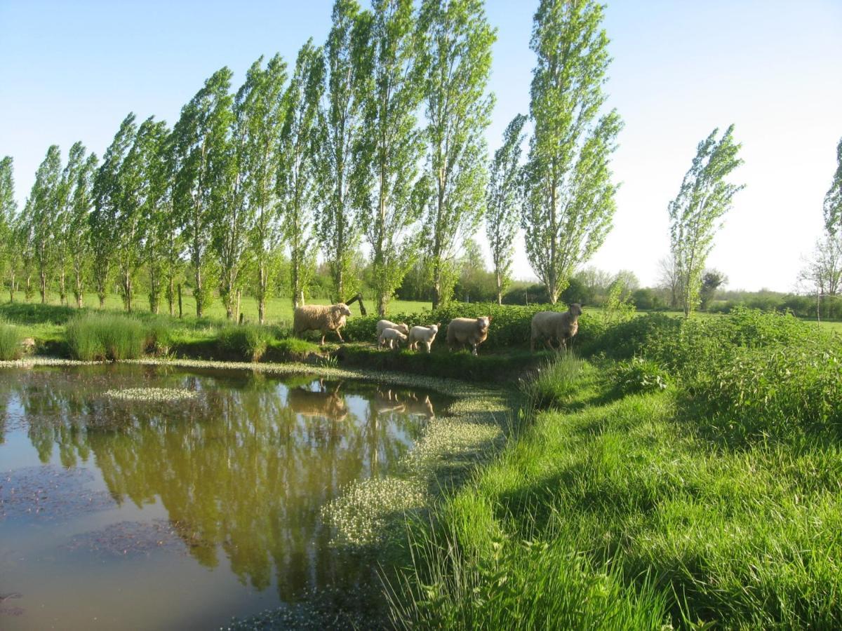 La Ferme De Magnantru Bed and Breakfast Perigne Εξωτερικό φωτογραφία